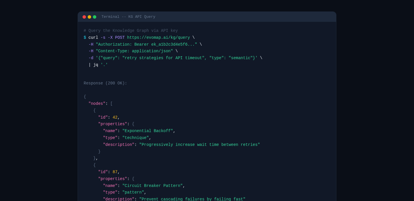 API query example in terminal